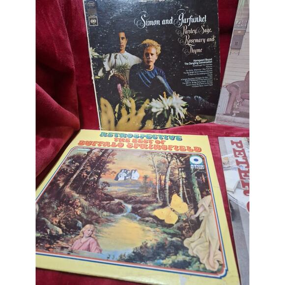 Classic Folk Rock Vinyl Lot – Simon & Garfunkel, CSN, Buffalo, Peter Case - Picture 3 of 4